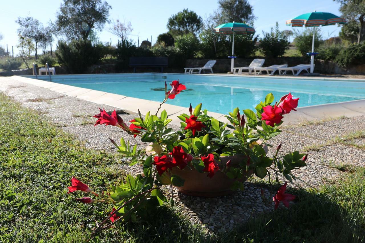 Agriturismo Tinti Montiano  Extérieur photo